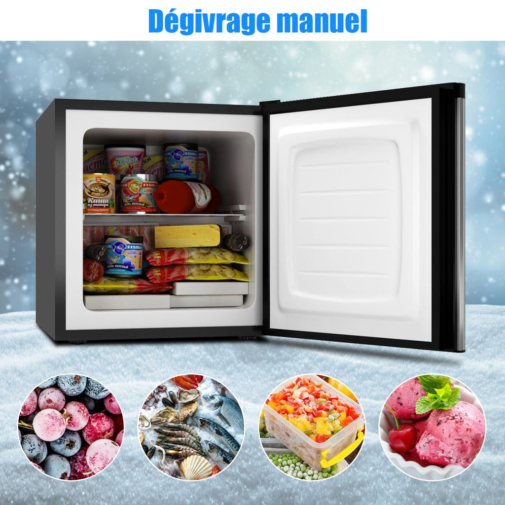 Mini Congélateur Vertical Capacité 31,1 L Porte Réversible en Acier Inoxydable Contr?le Mécanique Température Réglable